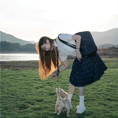 虎盗情魔